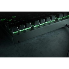 Razer Blackwidow V3 Tenkeyless